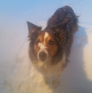 Meet your Posher, Renee